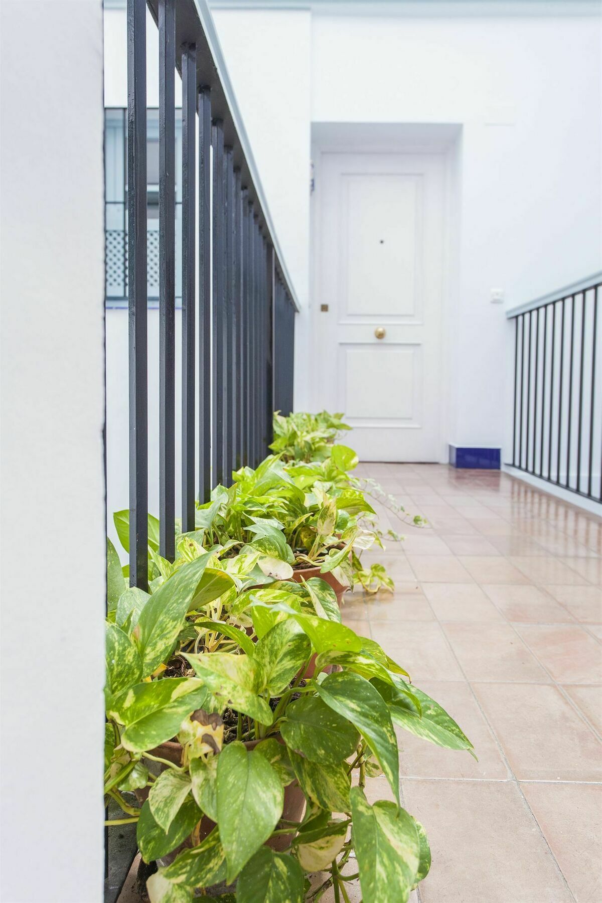 Santa Cruz Apartment Sewilla Zewnętrze zdjęcie